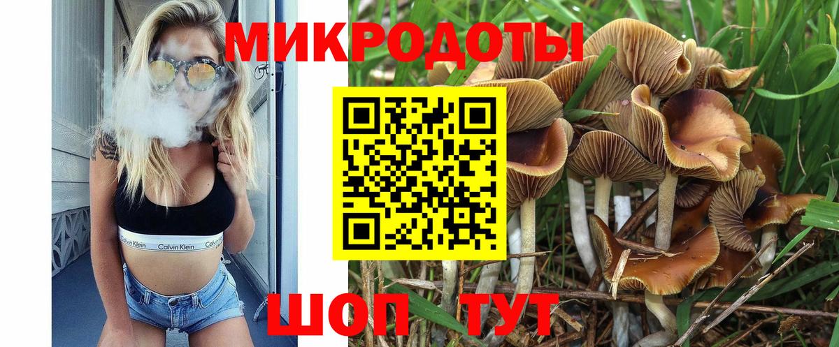 Барнаул  Псилоцибиновые грибы прущие грибы  Вход с VPN 